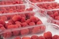 Fruit supplier enjoys £3.4m sales boost