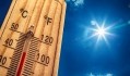 As extreme heat and dorught ravage the UK, how is the food and drink supply chain coping?