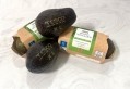 Barcodes have been laser-etched into Tesco's extra-large avocados. Image: Tesco