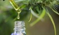 The FSA has added 6,000 items to their public list of CBD products